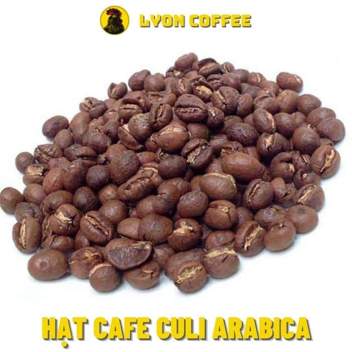 Cà phê hạt Culi Arabica có vị gì