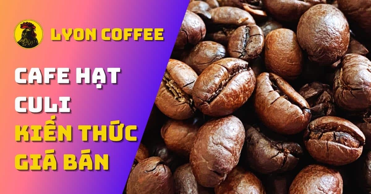 Culi coffee có hại cho sức khỏe không?