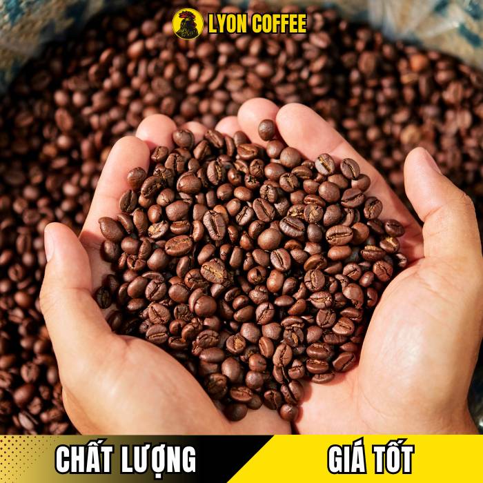 Câu hỏi thường gặp dành