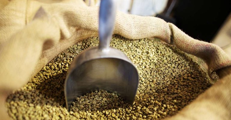 Lựa chọn chất liệu đóng gói phù hợp cho cà phê nhân xanh