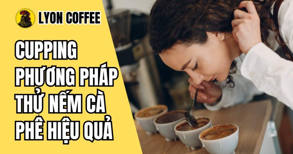 Cupping cà phê là gì?