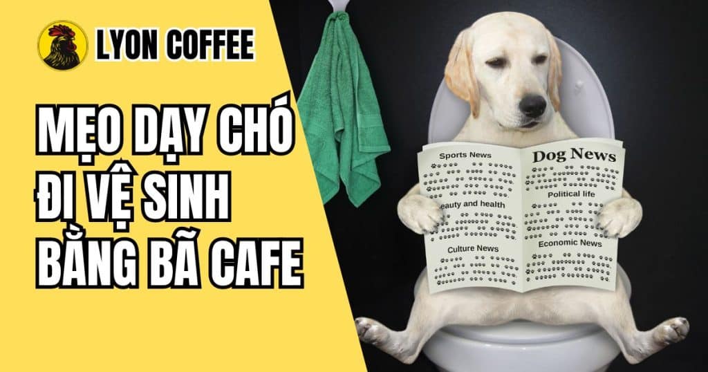 Mẹo dạy chó đi vệ sinh bằng bã cà phê