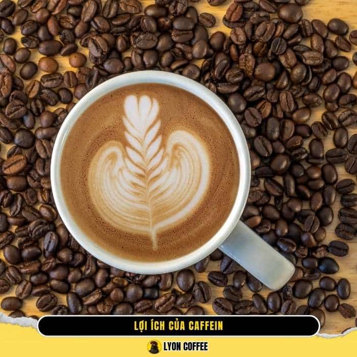  Caffeine giúp tăng cường sự tỉnh táo và giảm cảm giác mệt mỏi