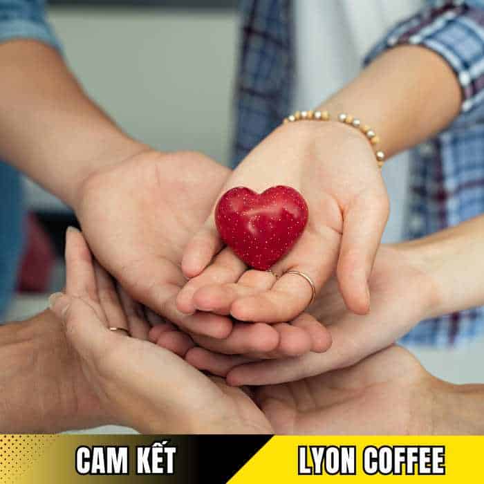 Cam kết phát triển bền vững của Lyon Coffee