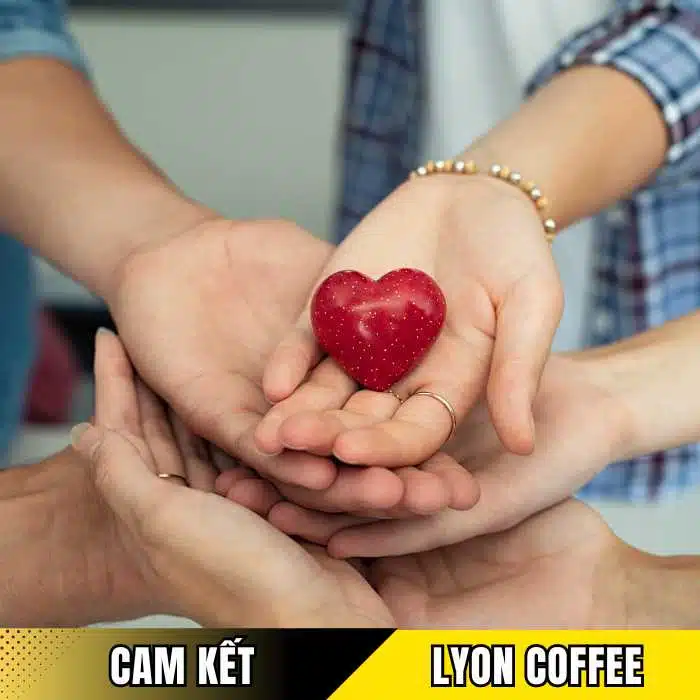 Cam kết phát triển bền vững của Lyon Coffee