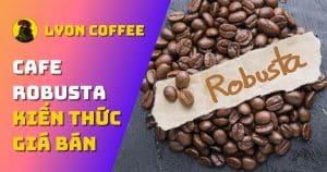 giá cà phê robusta