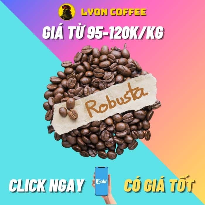Giá trị hàm lượng cafein trong hạt robusta bao nhiêu 