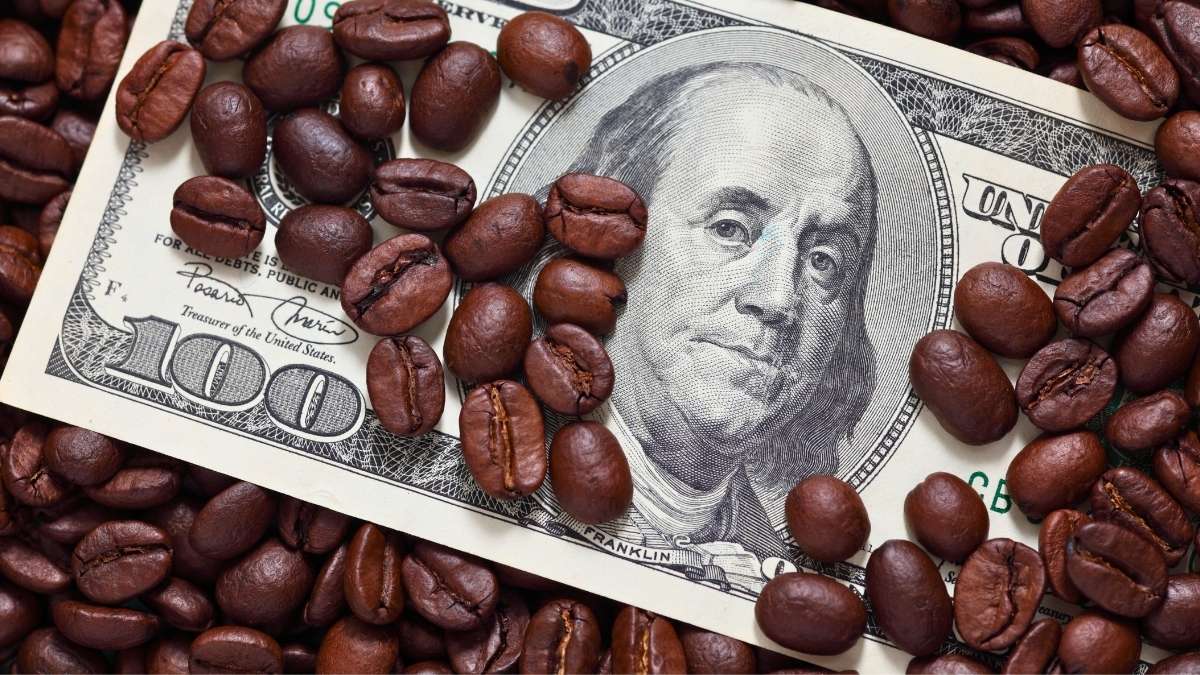  Giá cà phê Robusta mới nhất