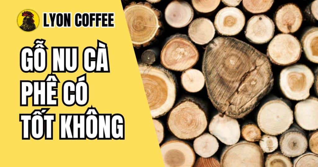 Gỗ nu cà phê có tốt không