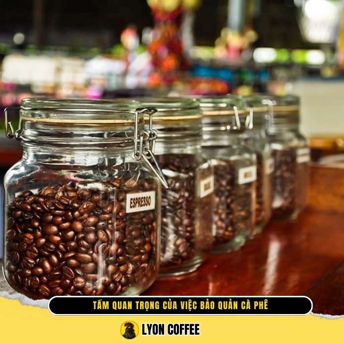 Hướng dẫn cách bảo quản cà phê bột, hạt được lâu