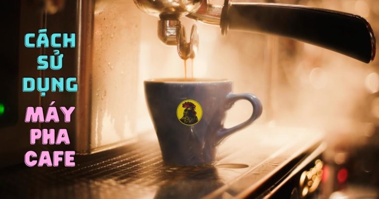 hướng dẫn cách sử dụng máy pha cà phê
