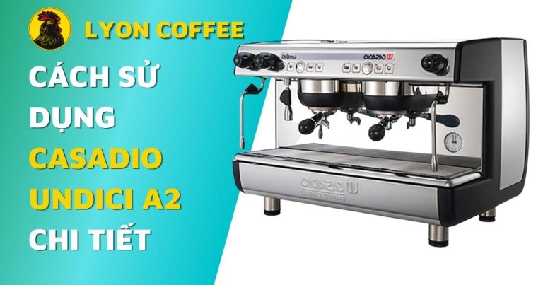 hướng dẫn sử dụng máy pha cafe Casadio Undici A2 2 group