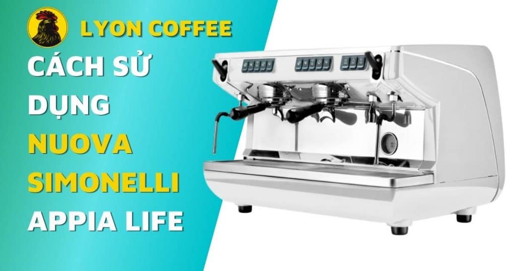 hướng dẫn cách sử dụng máy pha cafe Nuova Simonelli Appia Life 2 group