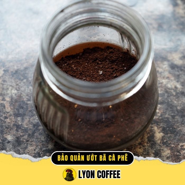 Cách bảo quản bã cà phê để ủ bã cà phê bón cây