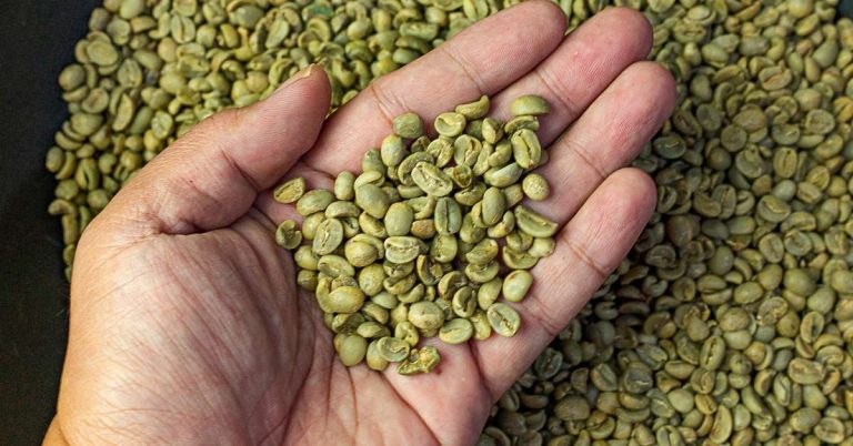 Lưu ý khi bảo quản cà phê nhân xanh