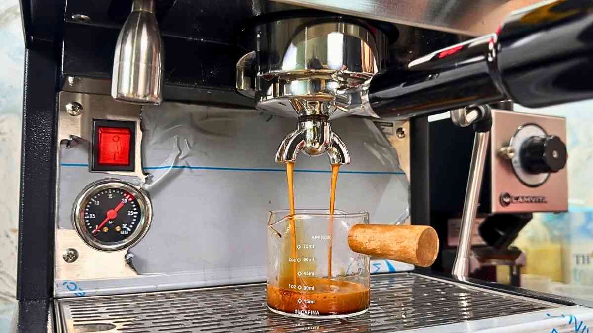 Phù hợp quán vừa và mô hình mang đi