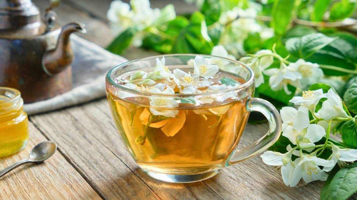 Lục trà lài Lyon cao cấp 500g thơm dịu, chuẩn vị