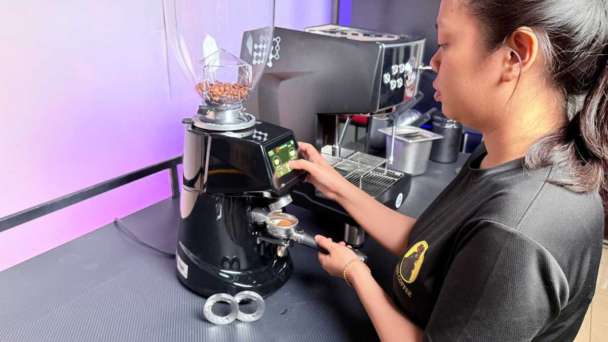 Theo dõi tuổi thọ lưỡi dao máy xay cà phê Fiorenzato theo sản lượng