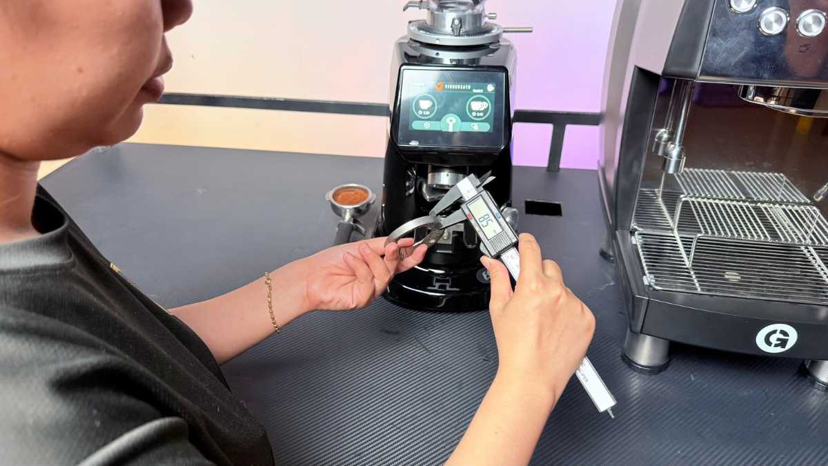 Chất liệu thép công nghiệp của lưỡi dao máy xay cà phê Fiorenzato