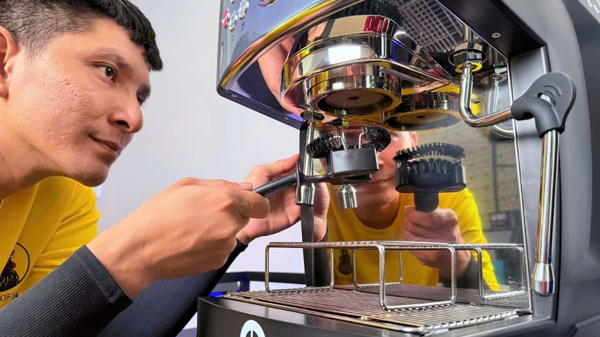 vệ sinh steam wand và backflush máy pha cà phê Gemilai CRM 3200B Pro