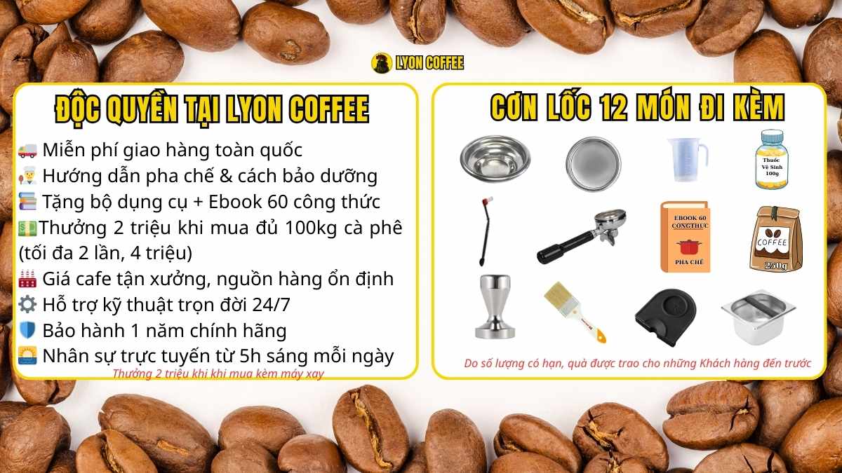 ưu đãi mua máy pha cà phê gaggia classic e24 tại lyon coffee
