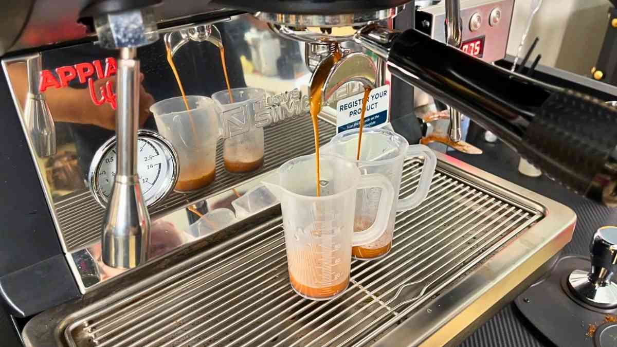 Appia Life 1G dùng cho quán nhỏ, nhà hàng, buffet khách sạn