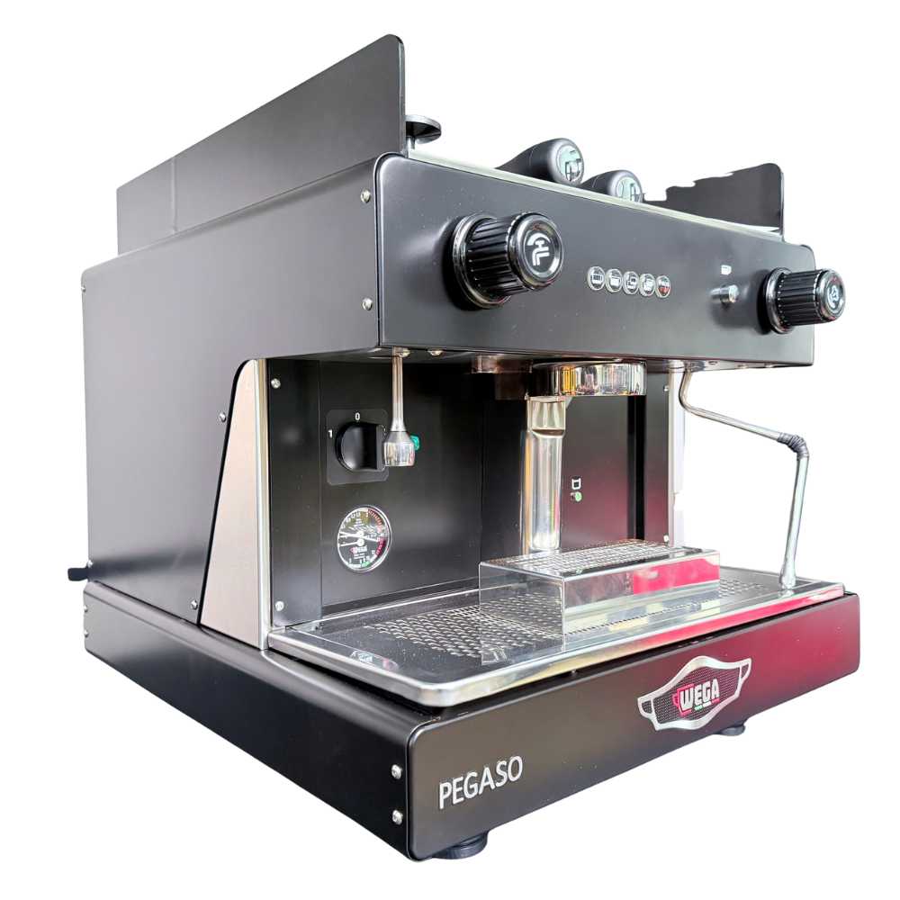Máy pha cà phê Wega Pegaso 1 Group
