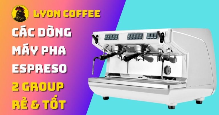 máy pha cafe 2 group