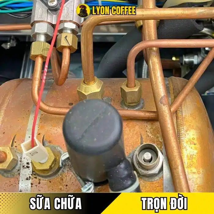 Chứng thực từ chuyên gia