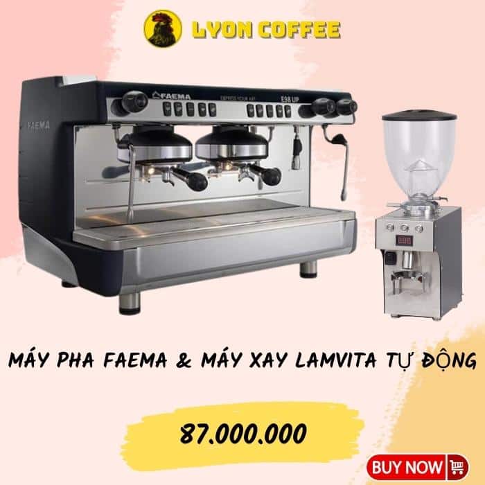 Giá mua combo máy pha cà phê Faema E98 Up Auto 2 Group bao nhiêu tiền