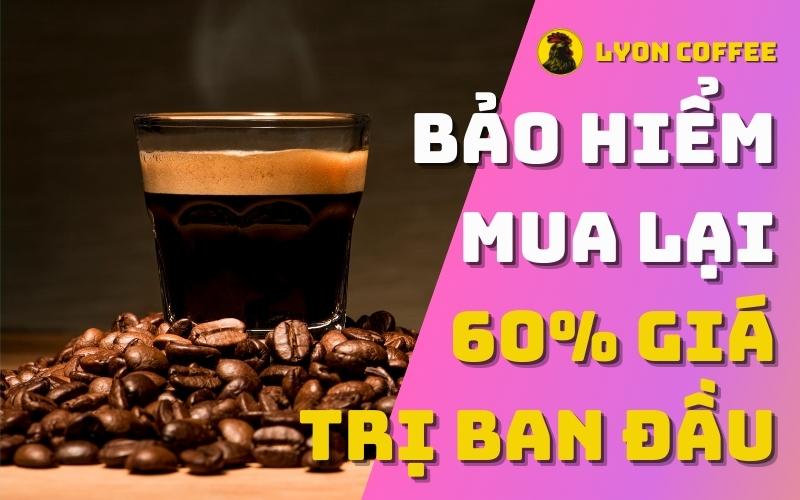 Bảo hiểm rủi ro trị giá 60% khi mua máy xay cà phê hạt tại Lyon Cafe