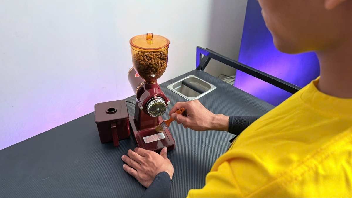 Vệ sinh burr máy xay cà phê Eagle 600N bằng chổi sau mỗi ca