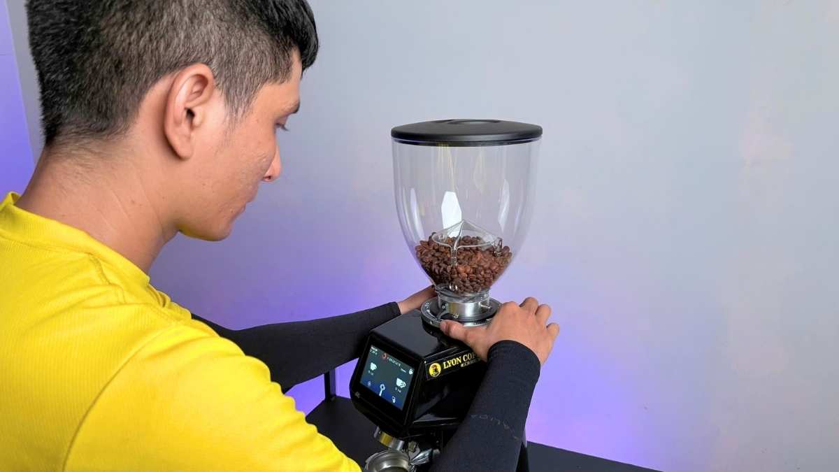 Máy xay cà phê Fiorenzato F64E thương hiệu Ý stepless điều chỉnh mịn