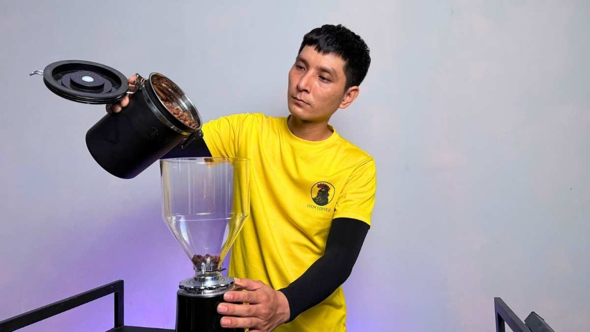 Máy xay cà phê Gemilai CRM 019 burr phẳng 60mm cho quán nhỏ