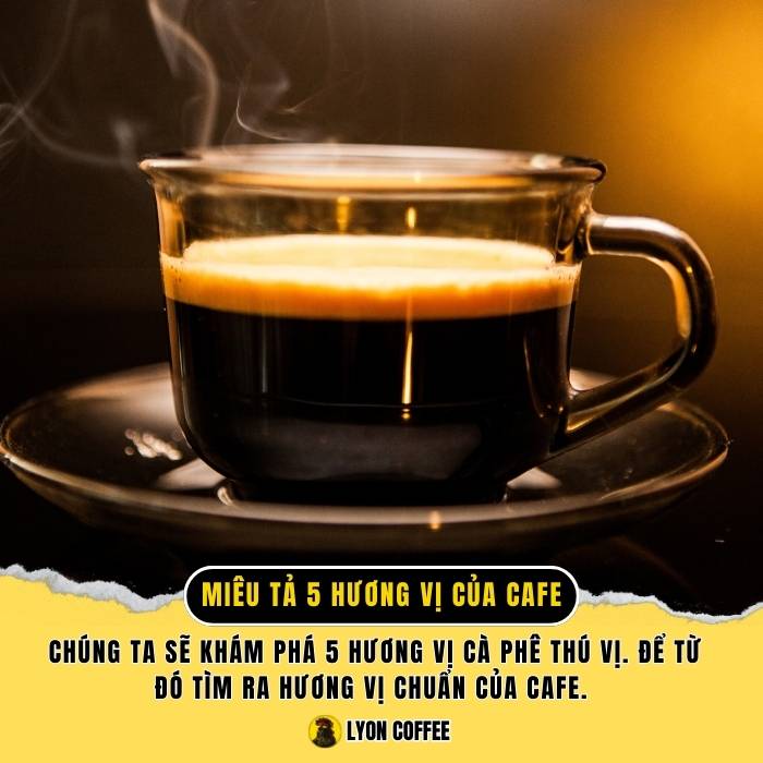 Miêu tả 5 hương vị đạt chuẩn của cà phê, giải đáp cafe ngon có bao nhiêu vị