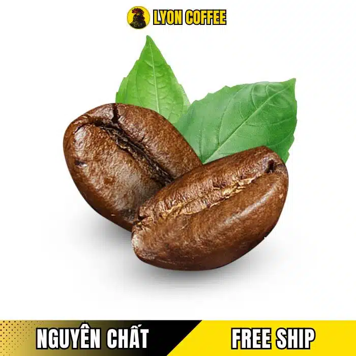 các câu hỏi chung về cà phê