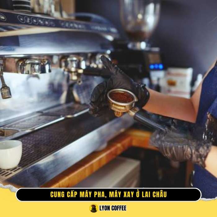 Thương hiệu uy tín khi mua máy pha cafe, máy xay cà phê ở Lai Châu