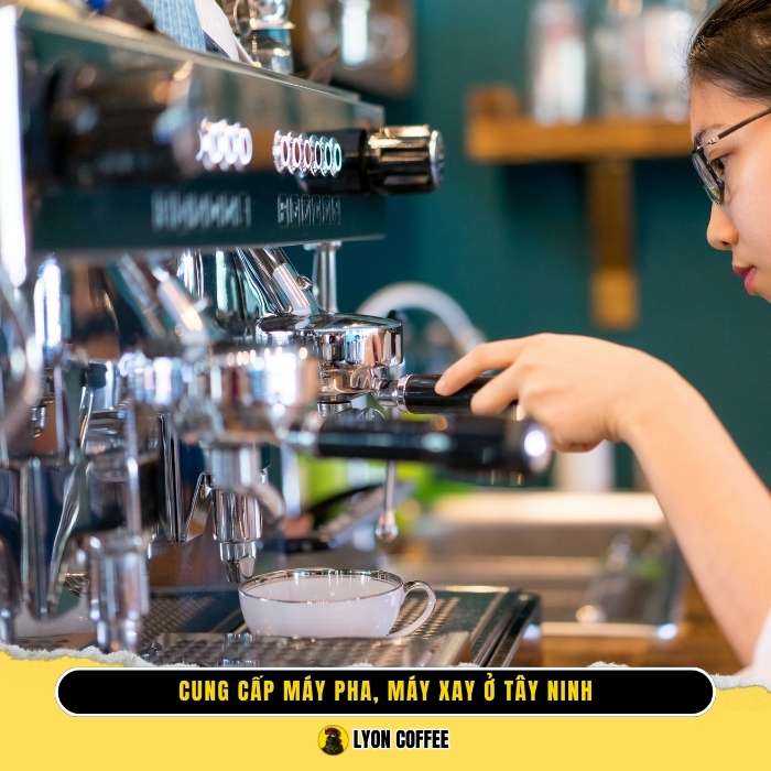 Thương hiệu uy tín khi mua máy pha cafe, máy xay cà phê ở Tây Ninh