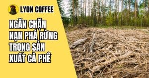 Ngăn chặn nạn phá rừng trong sản xuất cà phê