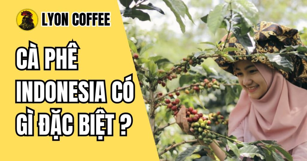 Tìm hiểu ngành cà phê Indonesia