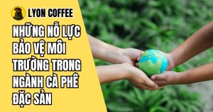 Những nỗ lực bảo vệ môi trường trong ngành cà phê đặc sản