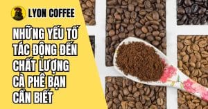 Những yếu tố tác động đến chất lượng cà phê
