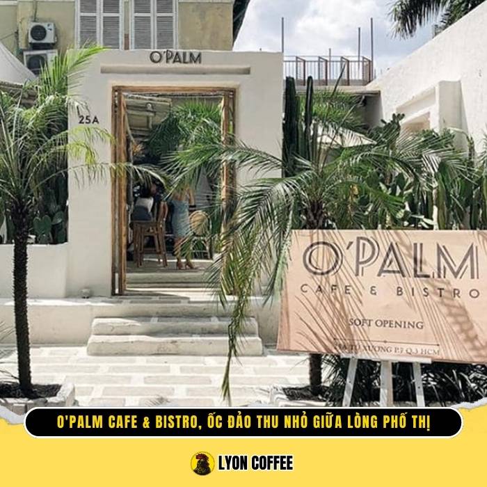 Review đánh giá quán The O’Palm cafe ở quận 3