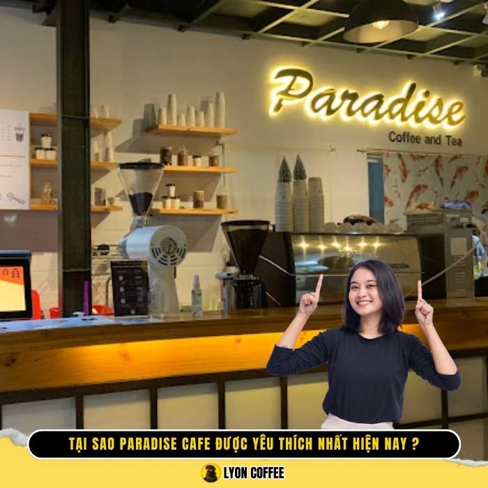 Tại sao Paradise Cafe được yêu thích nhất hiện nay