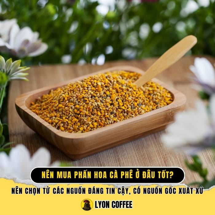 Nên mua phấn hoa cafe ở đâu tốt