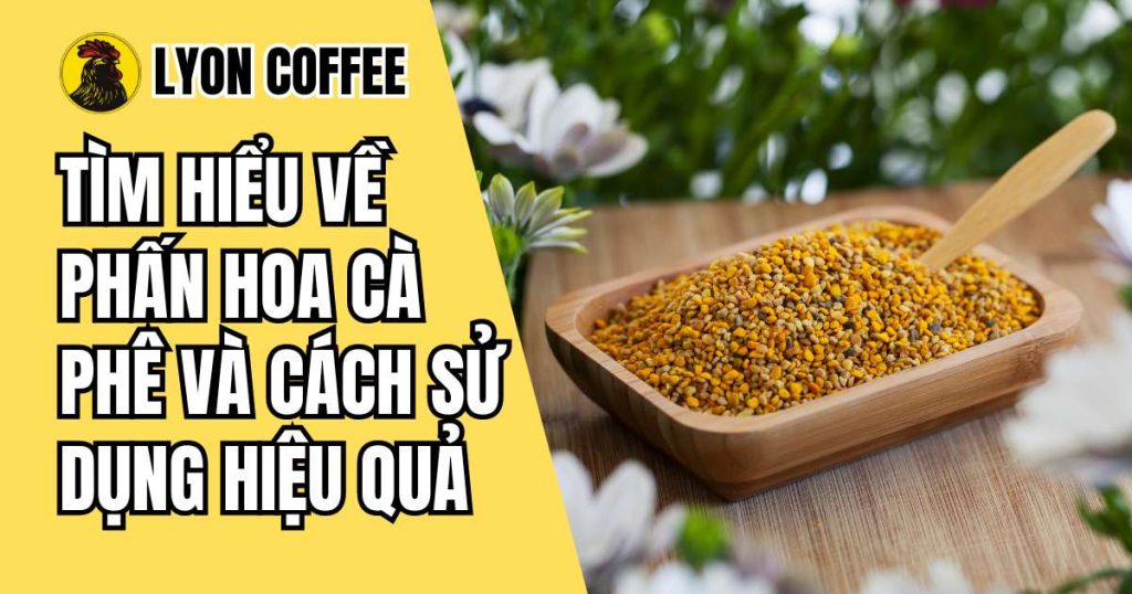 Cách sử dụng phấn hoa cà phê hiệu quả tại nhà