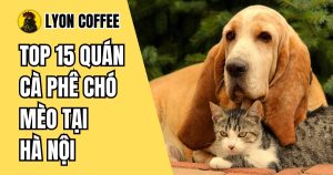 quán cà phê chó mèo ở Hà Nội