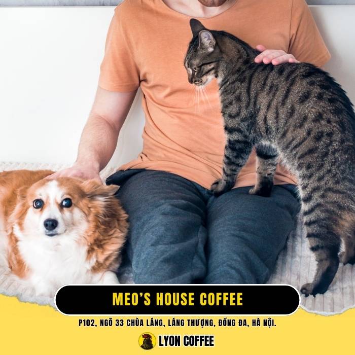 Meo’s House Coffee