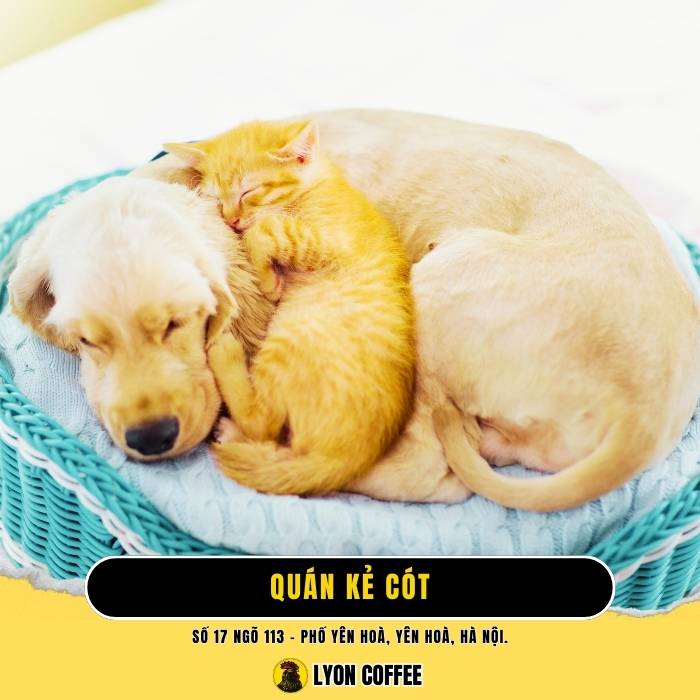 Kẻ Cót - Quán cà phê chó mèo ở Quận Cầu Giấy Hà Nội