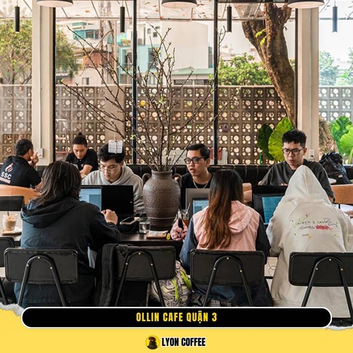 Ollin Cafe Phạm Ngọc Thạch Quận 3